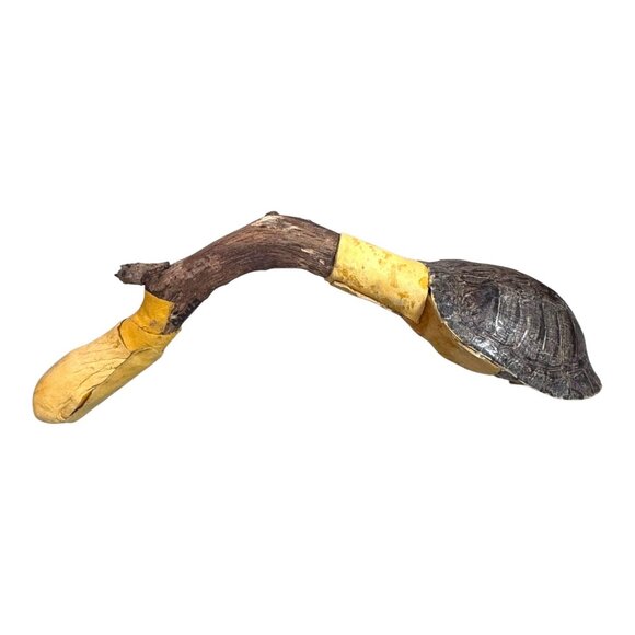 Vintage Native American Signed Handcrafted Driftwood & Turtle Shell Rattle - Picture 3 of 8